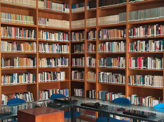 Biblioteca de Paranhos